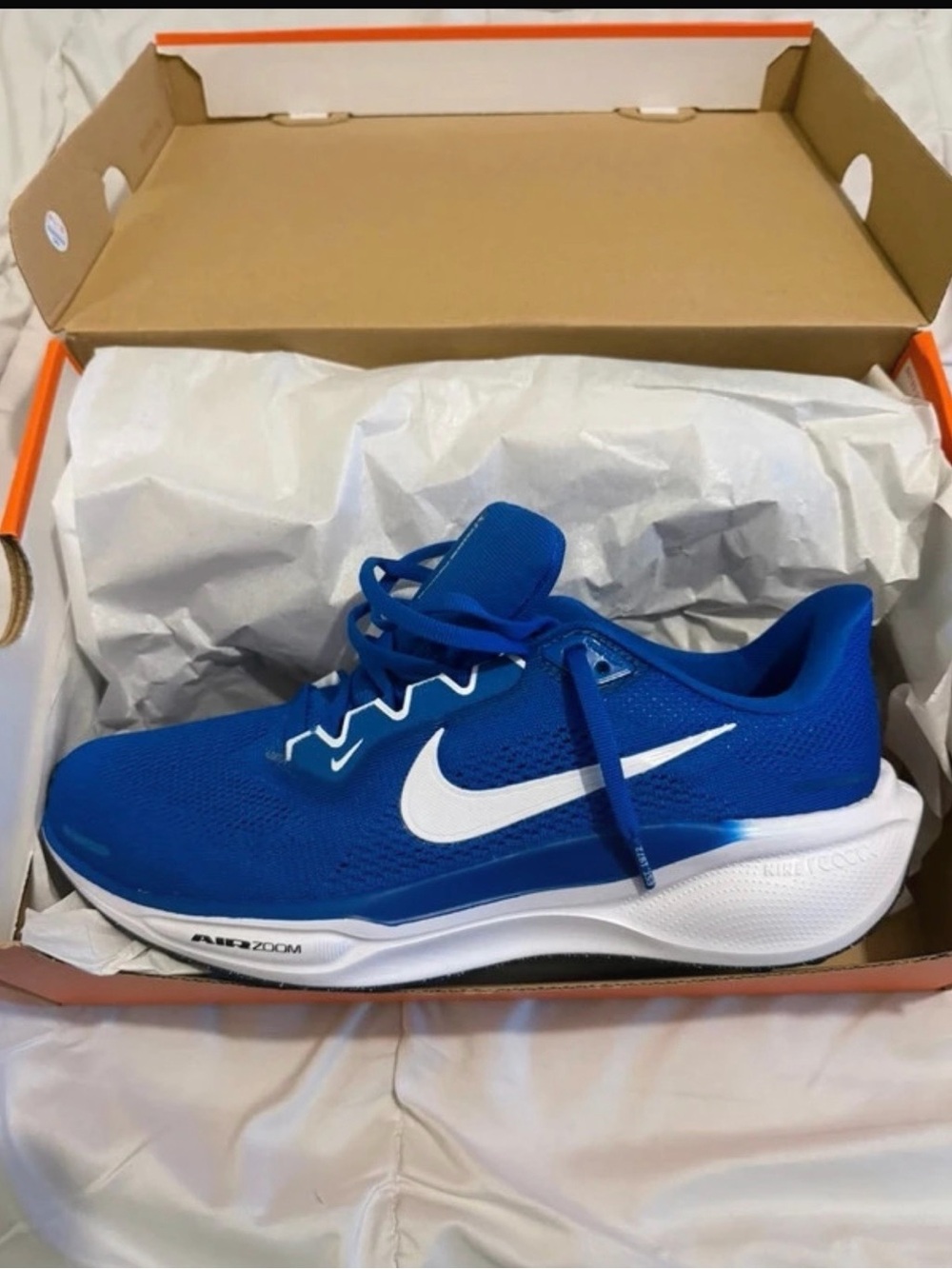 Nike Men or Women Royal Blue Athletic Sneakers with White Swoosh